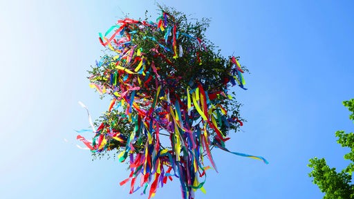 Ein traditioneller Maibaum, der mit bunten Bändern geschmückt ist.
