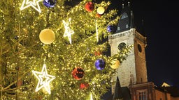 Ein Weihnachtsbaum strahlt in der Prager Altstadt vor dem Rathaus