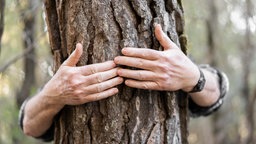 Ein Mann umarmt einen Baum