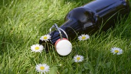 Eine leere Bierflasche liegt auf einer Blumenwiese.