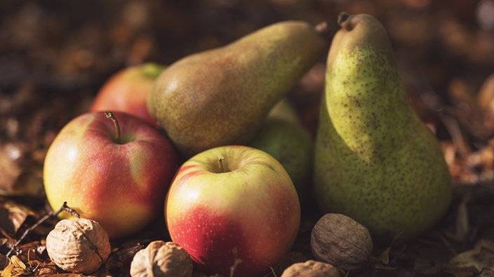 Äpfel und Birnen., herbstlich mit Nüssen arrangiert