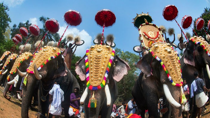 Kunstvoll geschmückte Elefanten stehen bei einem Festival in Indien beisammen.