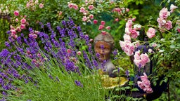 Lavendel mit Rosen und Skulptur eines Frauenkopfes im Garten.