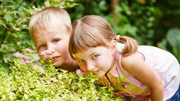 Kinder spielen Verstecken im Garten