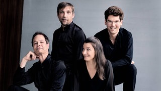 Die Mitglieder des delian::quartett