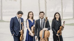 Das Minetti Quartett im Portrait