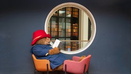 Ein Darsteller im Kostüm des Paddington Bär liest in der British Library ein Buch.