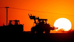 Ein Traktor bei Sonnenuntergang auf einem Feld (Symbolbild).
