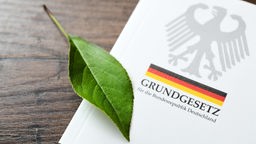 Ausgabe des Grundgesetzes der Bundesrepublik Deutschland mit einem grünen Blatt darauf.