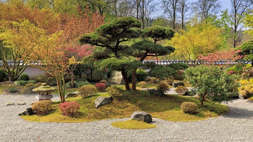 Japanischer Garten Bielefeld
