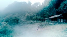 Filmszene aus "Antichrist": Eine Hütte auf der Lichtung inmitten eines nebligen Waldes.