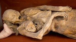 Mumie im Mumienmuseum, Guanajuato, Mexiko 