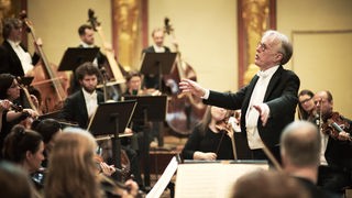 Martin Haselböck dirigiert das Orchester Wiener Akademie.