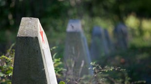 Gedenkstaette StaLag 326: Mehrere in Reihe stehende Grabsteine für sowjetische Kriegsgefangene im 2. Weltkrieg, Archivbild von 2011.