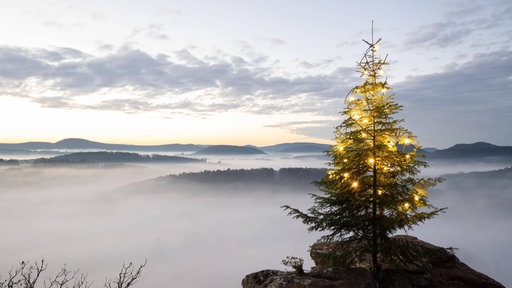 Berauschender Sonnenaufgang am Wachtfelsen