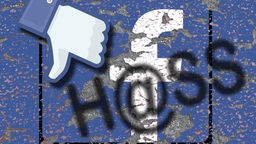Facebook Logo auf erodierendem Grund mit Schriftzug H@ss und nach unten gerichtetem Dislike, Symbolbild