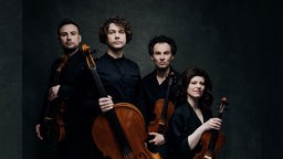 Eine Porträtaufnahme des berliner Sonar Quartetts.