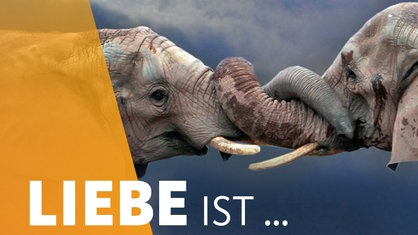 WDR 4 Liebestag - Liebe ist...