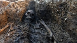 Ein menschliches Skelett an einem Ausgrabungsort.