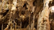 Die Atta-Höhle in Attendorn