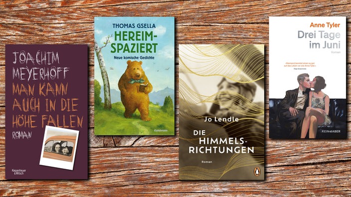 WDR 4 Buchtipp: WDR 4 Weihnachtsbuchtipps, Buchcover, Collage