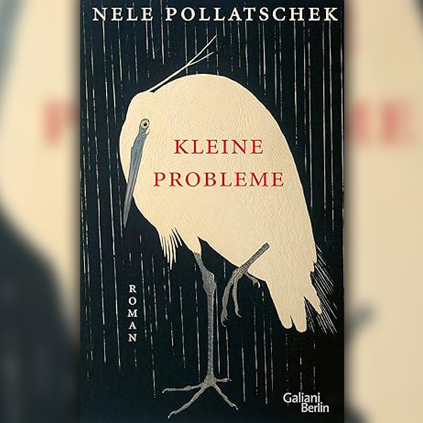 ”Kleine Probleme” von Nele Pollatschek