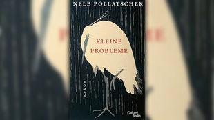Buchcover: "Kleine Probleme"