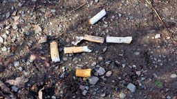 Zigarettenkippen auf dem Boden 