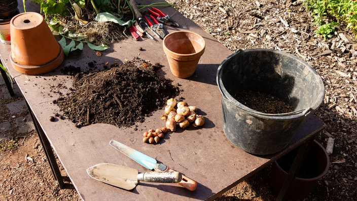 Wdr 4 Drinnen Und Draussen Herbsttipps Fur Den Garten Wohnen