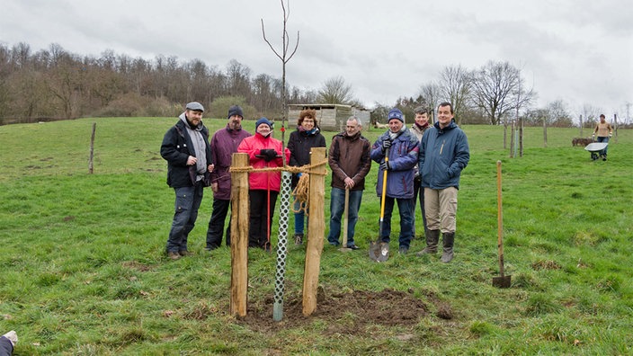 Baum Wundverschluss Obi