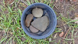 Flache Steine bedecken die Löcher am Boden eines Plastiktopfes