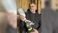 Joachim Augner füttert eine junge Ziege mit Milch