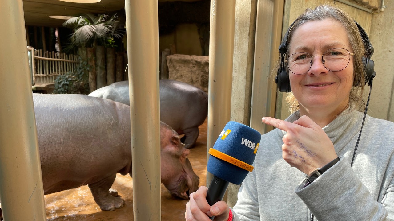 WDR 4-Reporterin Ute Schneider vor dem Gehege der Flusspferde in der ZOOM Erlebniswelt