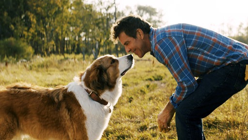 Szene aus dem Film "Bailey – Ein Freund fürs Leben"