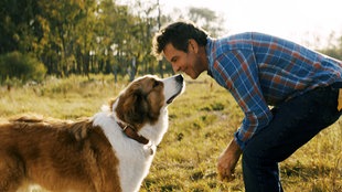 Szene aus dem Film "Bailey – Ein Freund fürs Leben"