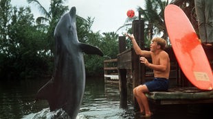 Filmszene aus der beliebten Tierfilmserie "Flipper" (1962-1968) mit dem Delfin Flipper und Tom Norden als seinem besten Freund Bud