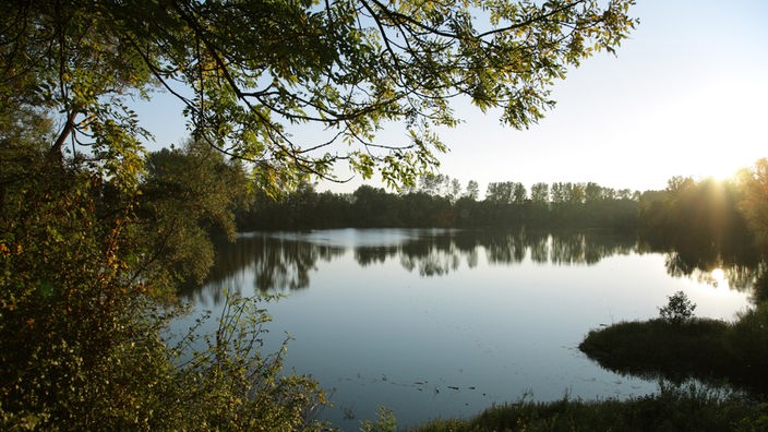 Das Naturschutzgebiet Bislicher Insel zwischen Ginderich und Xanten ist eine Auenlandschaft, die durch Flusslaufänderungen des Rheins entstanden ist. Rheinaltarm vor Sonnenuntergang