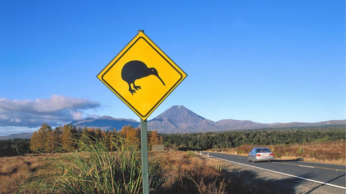 Straßenschild mit Kiwi-Symbol
