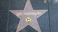 Hollywoodstern von Gene Roddenberry