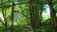 Grauer Schiefer und wilde Natur - auf dem Premium-Wanderweg Bei de Hullerkeppe in Bad Berleburg-Dotzlar