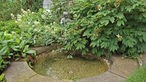 Brunnen in Adenauers Garten