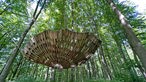 "Windwiege": Das Kunstwerk der Künstlerin Birgit Kratzheller hängt in den Bäumen am Nieheimer Kunstpfad