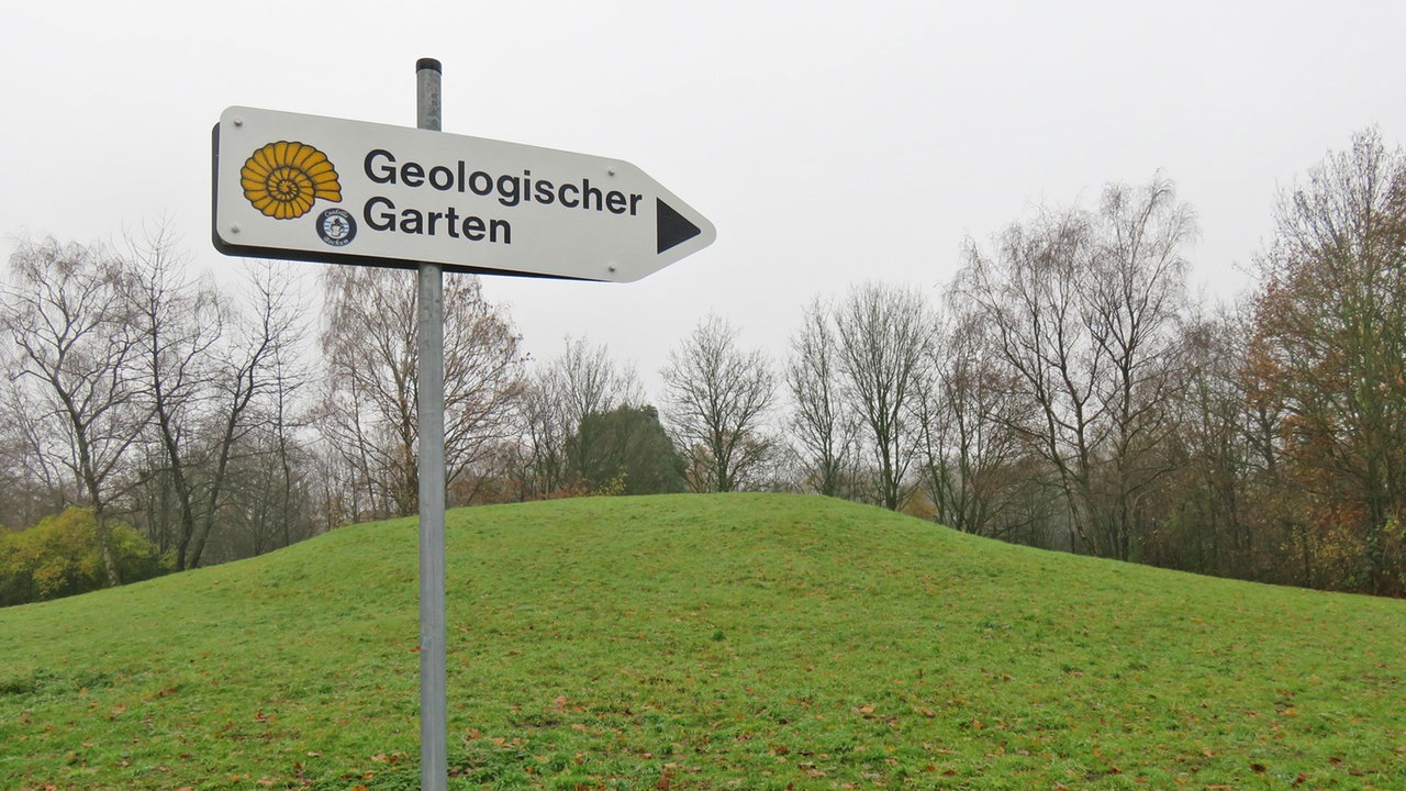 Wdr 4 Spaziergang Spaziergang Durch Den Geologischen Garten