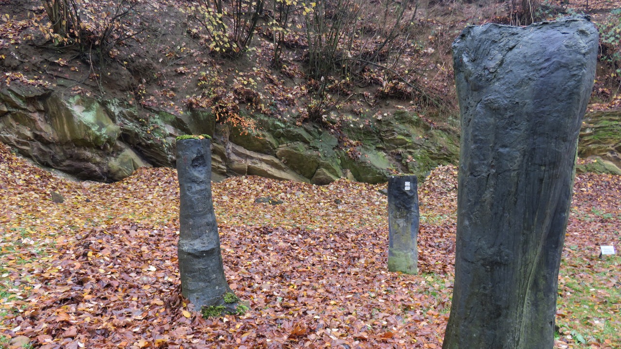 Wdr 4 Spaziergang Spaziergang Durch Den Geologischen Garten