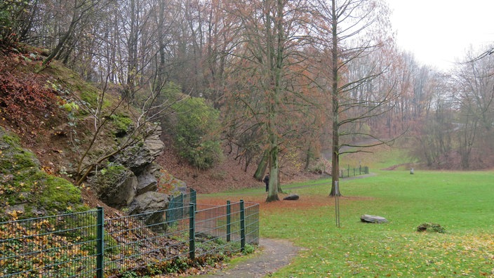 Wdr 4 Spaziergang Spaziergang Durch Den Geologischen Garten