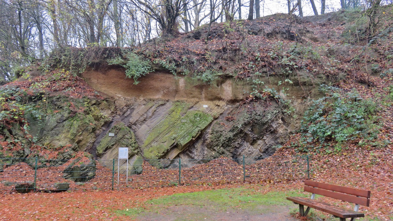 Geologischer Garten Bochum Trfihi Parks Parks