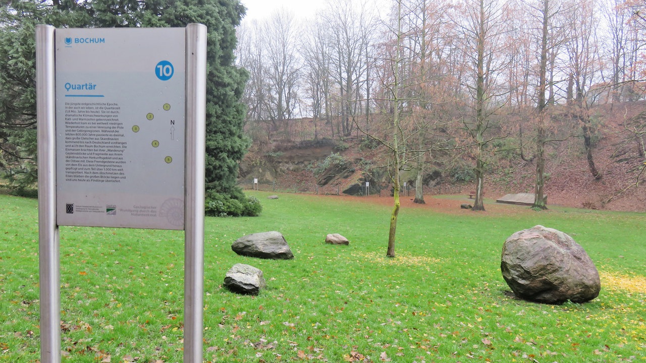 Wdr 4 Spaziergang Spaziergang Durch Den Geologischen Garten