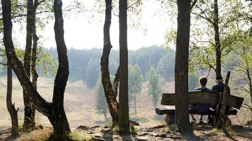 Brachter Wald-Pfad bei Brüggen 