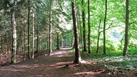 Der Hixterwald in Holzwickede