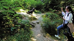 Klosterlandschaftsweg Altenberg: Wandern auf nassen Pfoten 